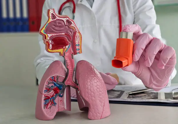  Best Doctor For Asthma And COPD in Kurla.webp